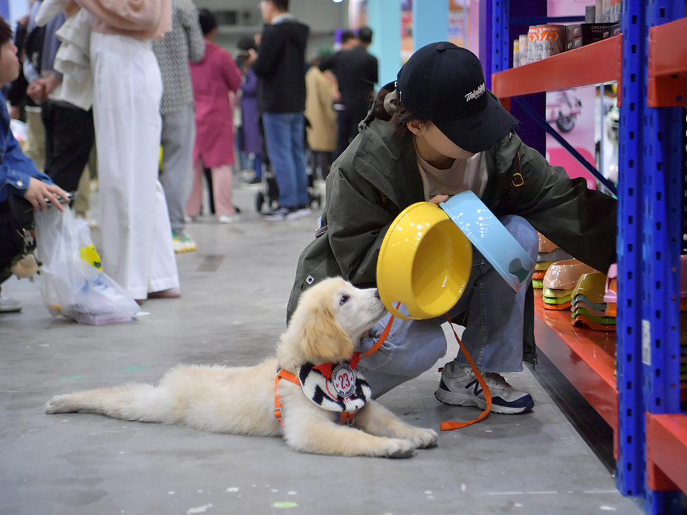 A pet owner is selecting meal bowls for her pet.