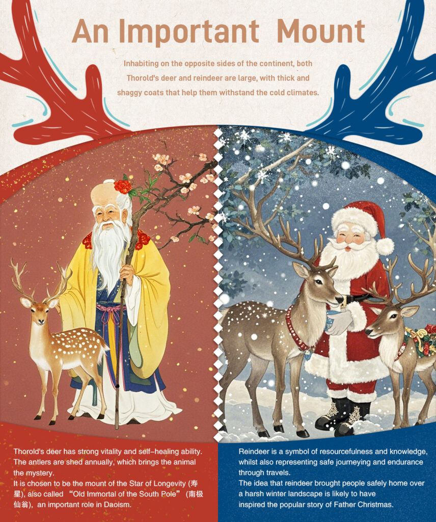 Why Deer is a Vital Animal Both in Chinese and Western Cultures?