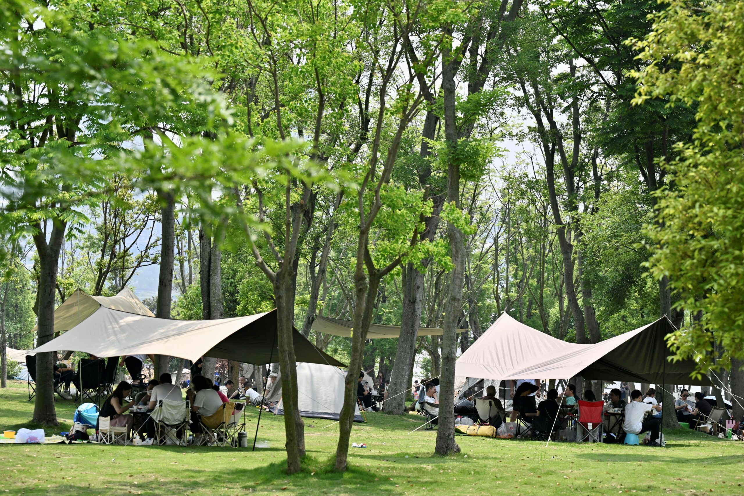 camping