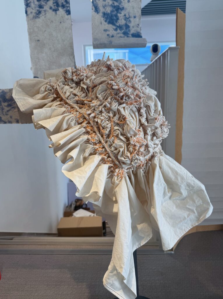 Yiran duan yicrafts zharan cloth in Beijing exhibition