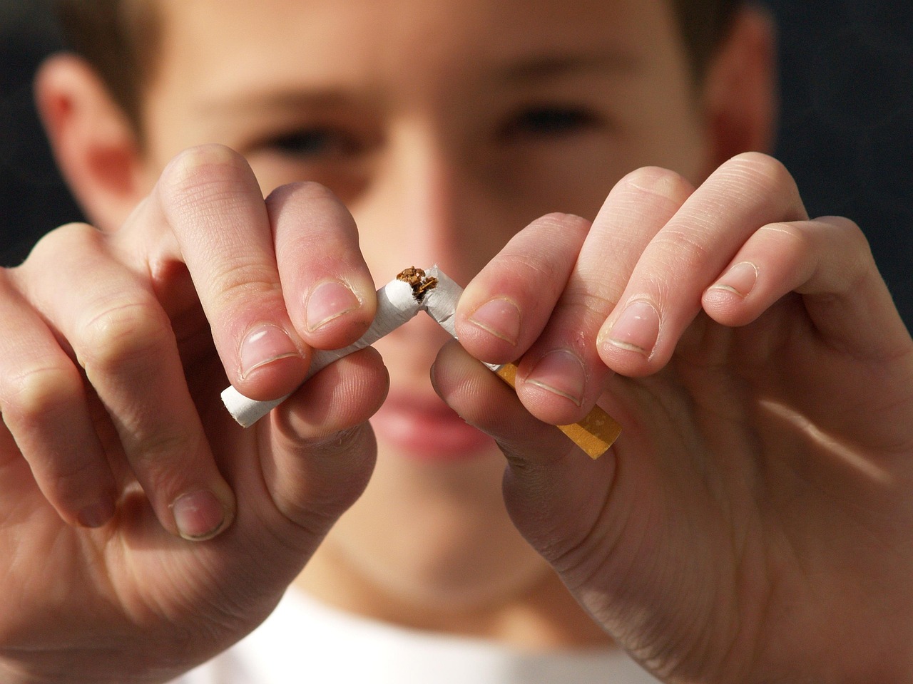 No Tobacco