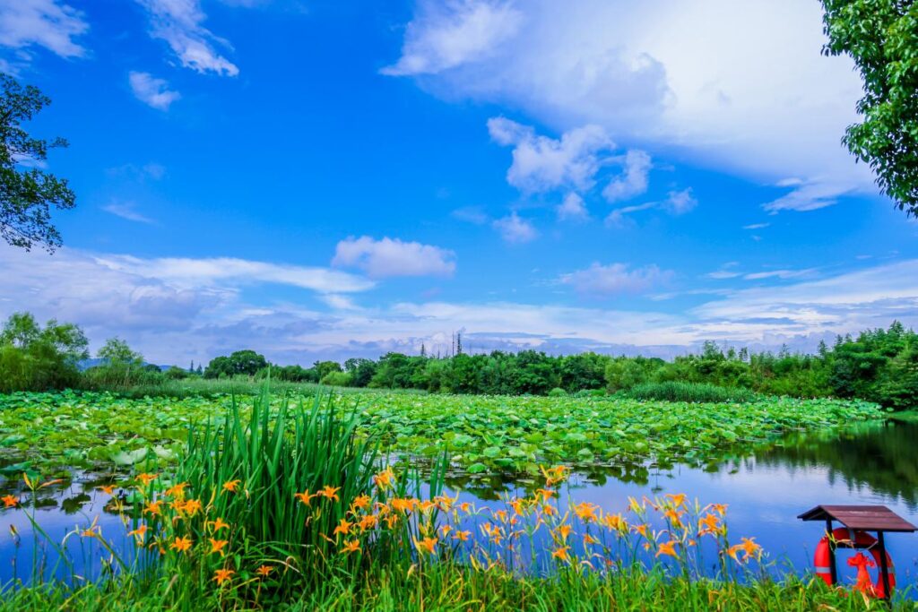 Liangzhu