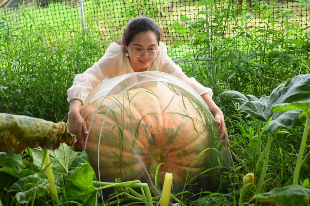 space-bred pumpkins Zhejiang