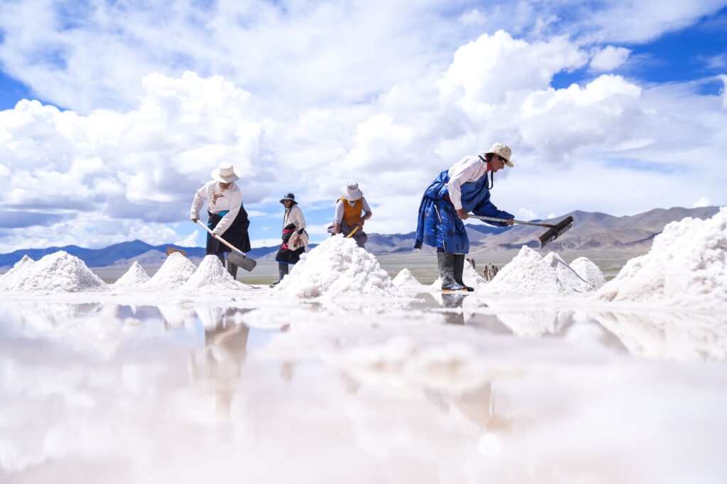 Tibet Salt and Sheep Route