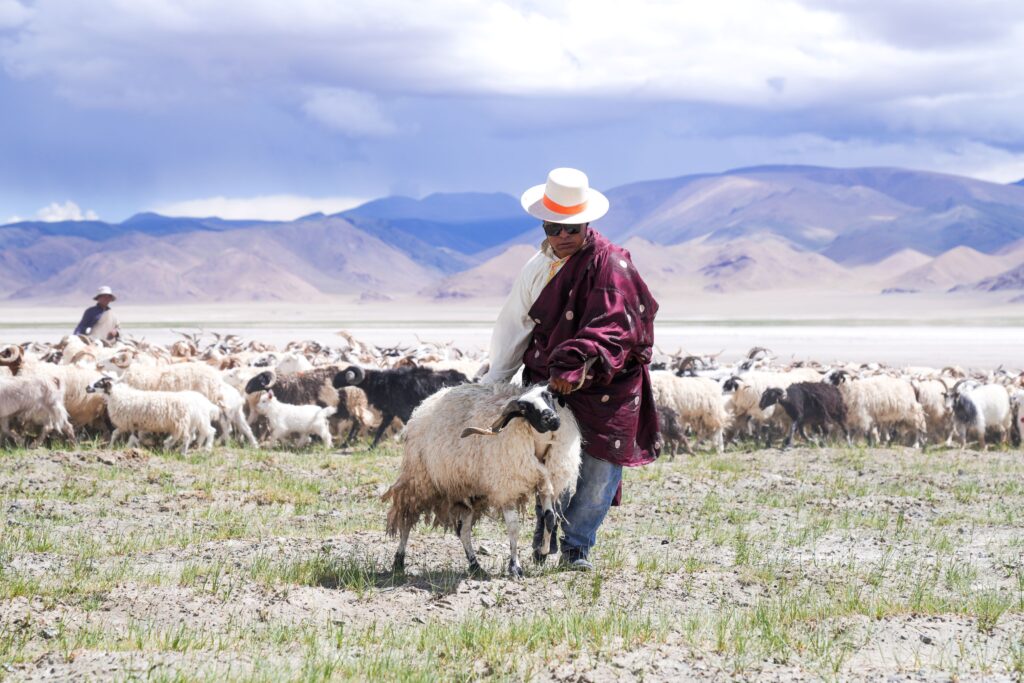 ancient trade route Tibet