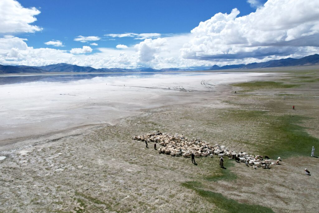 Ngari salt trade history