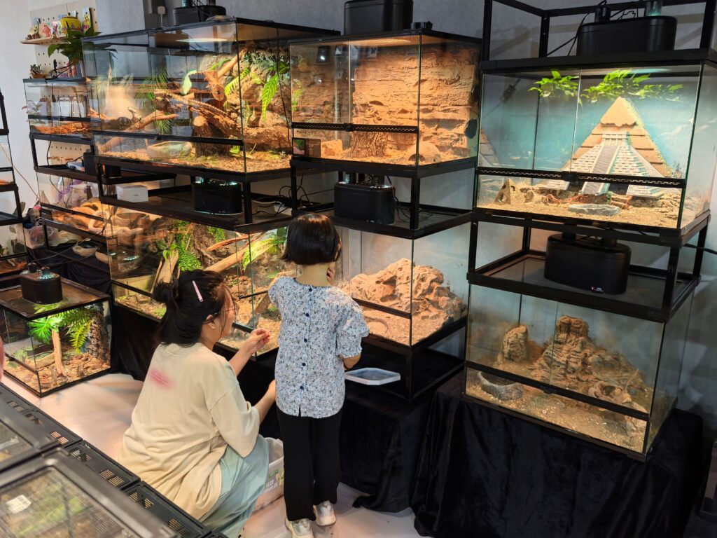 reptile pet trend China