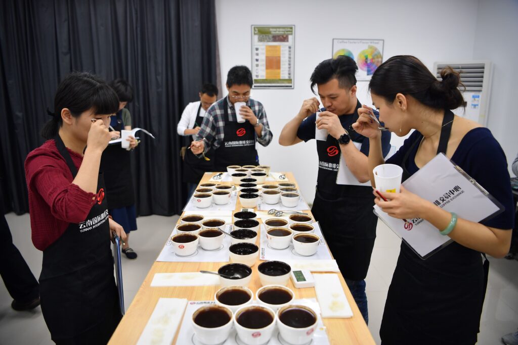 yunnan coffee
