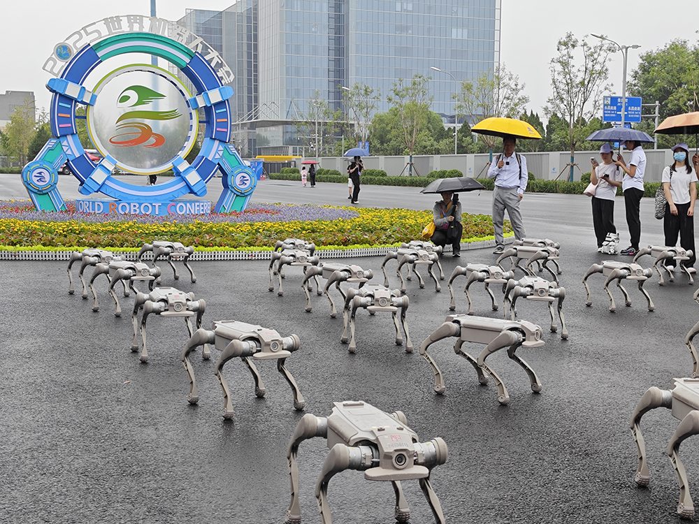 World robot conference 2025 china robot dogs