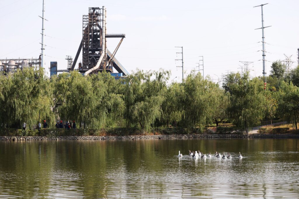 Xinjiang steel industry