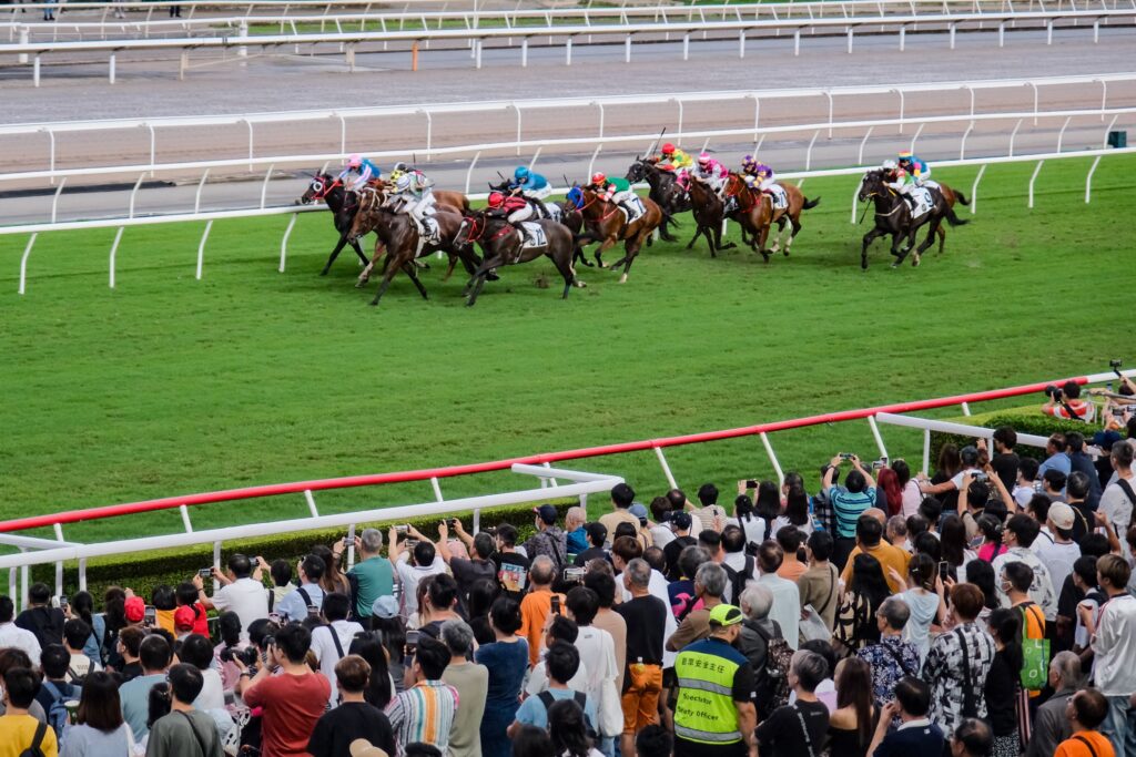 Horse Racing Day