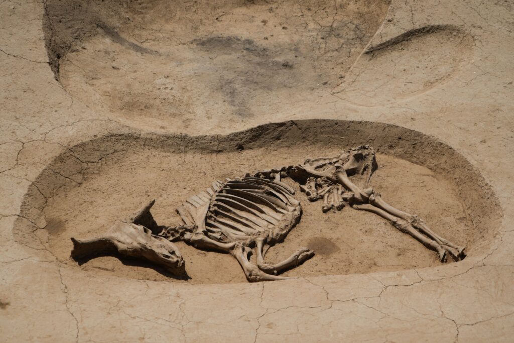 Liulihe Site Beijing