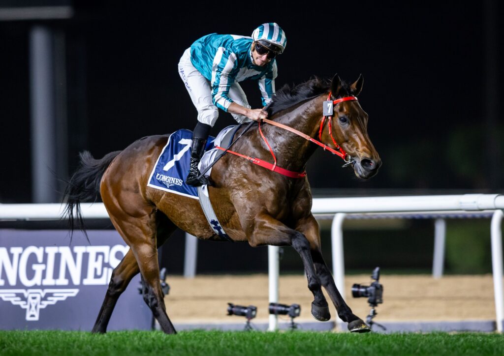 racehorse Romantic Warrior