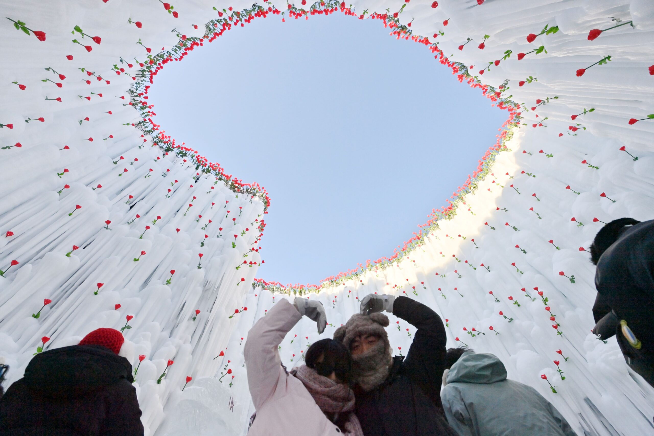 Ice Heart Rose at Ice Heart Island