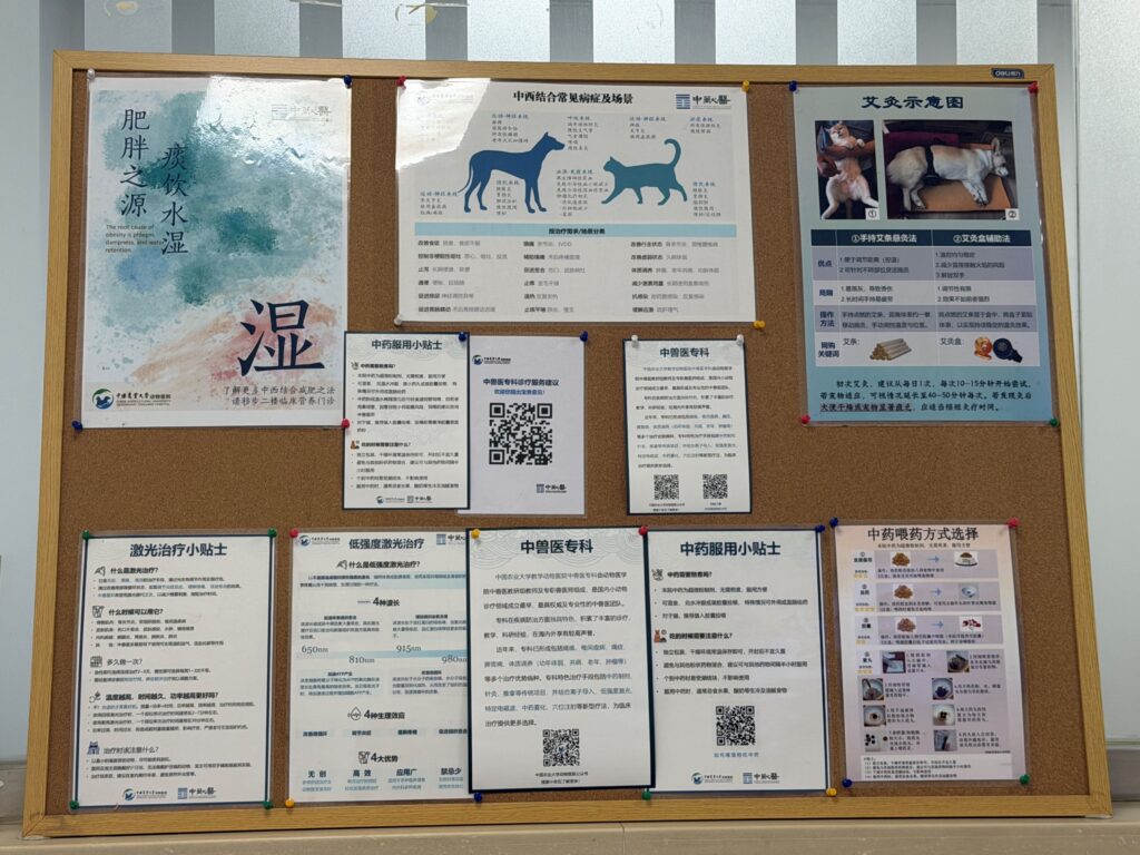 traditional Chinese veterinary medicine