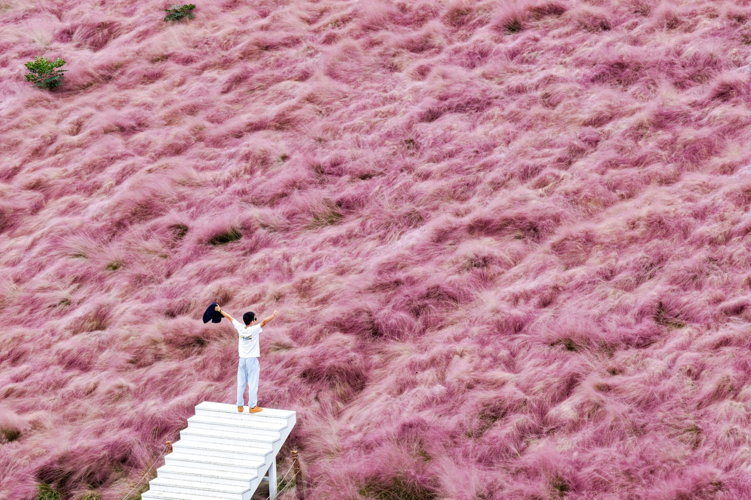 Tangshan Quarry Park in Nanjing
