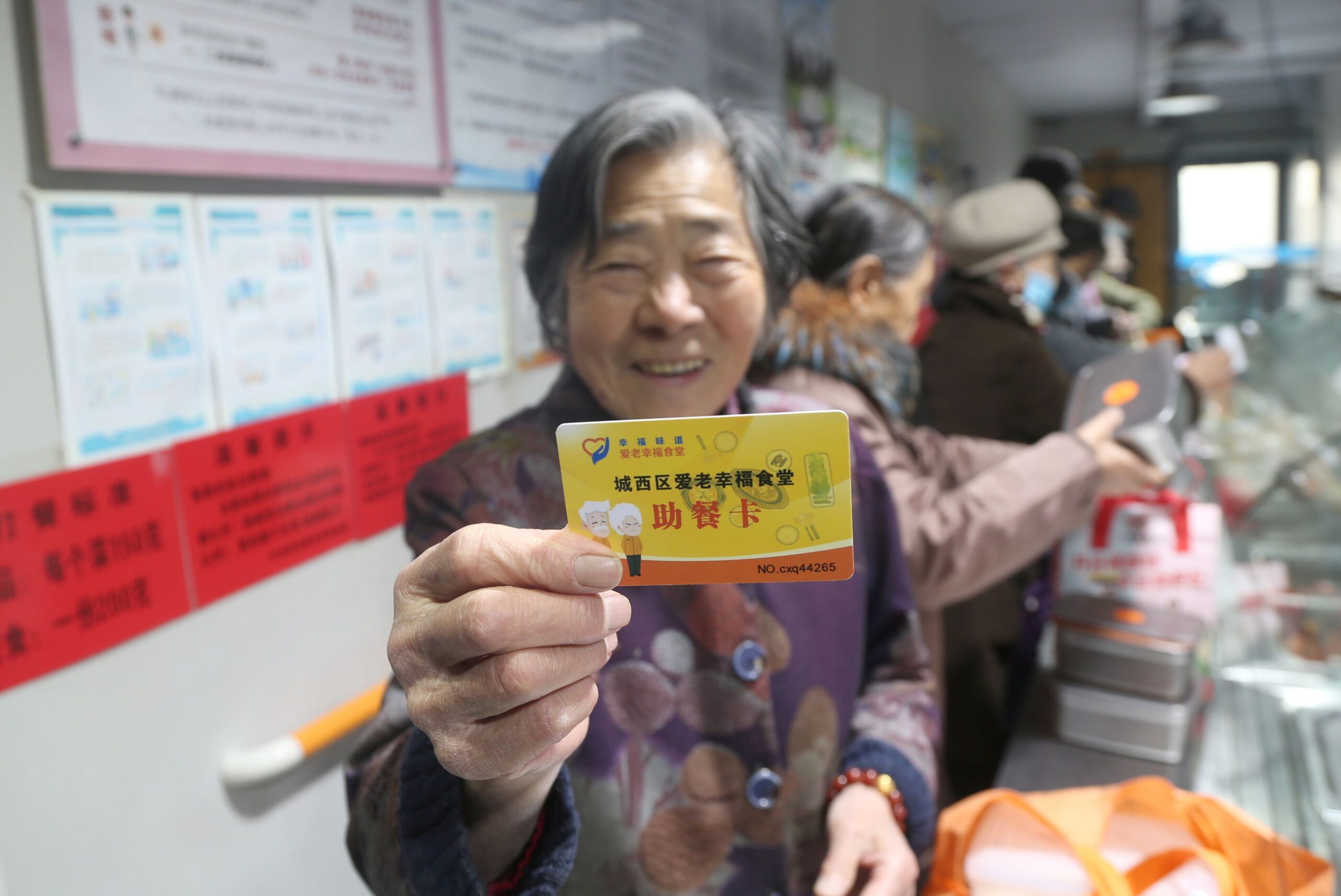 China elderly care service subsidies