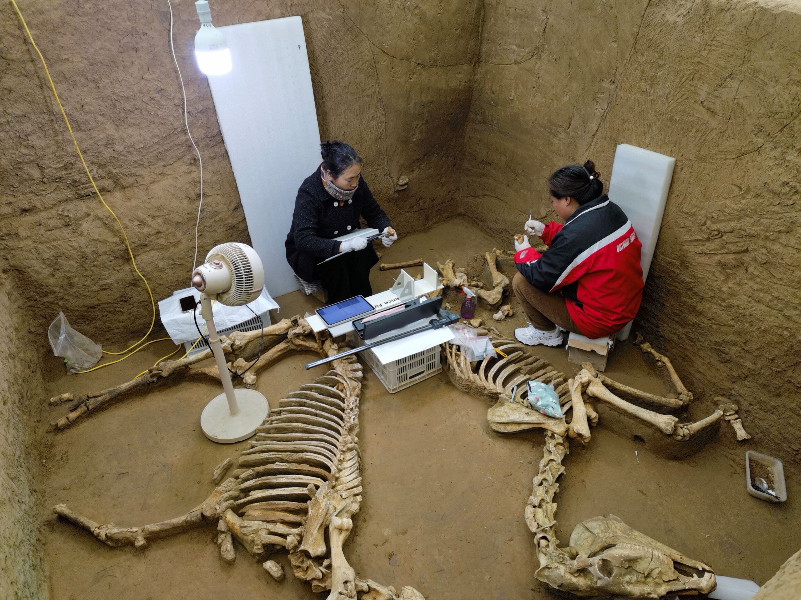 Yin Ruins discoveries