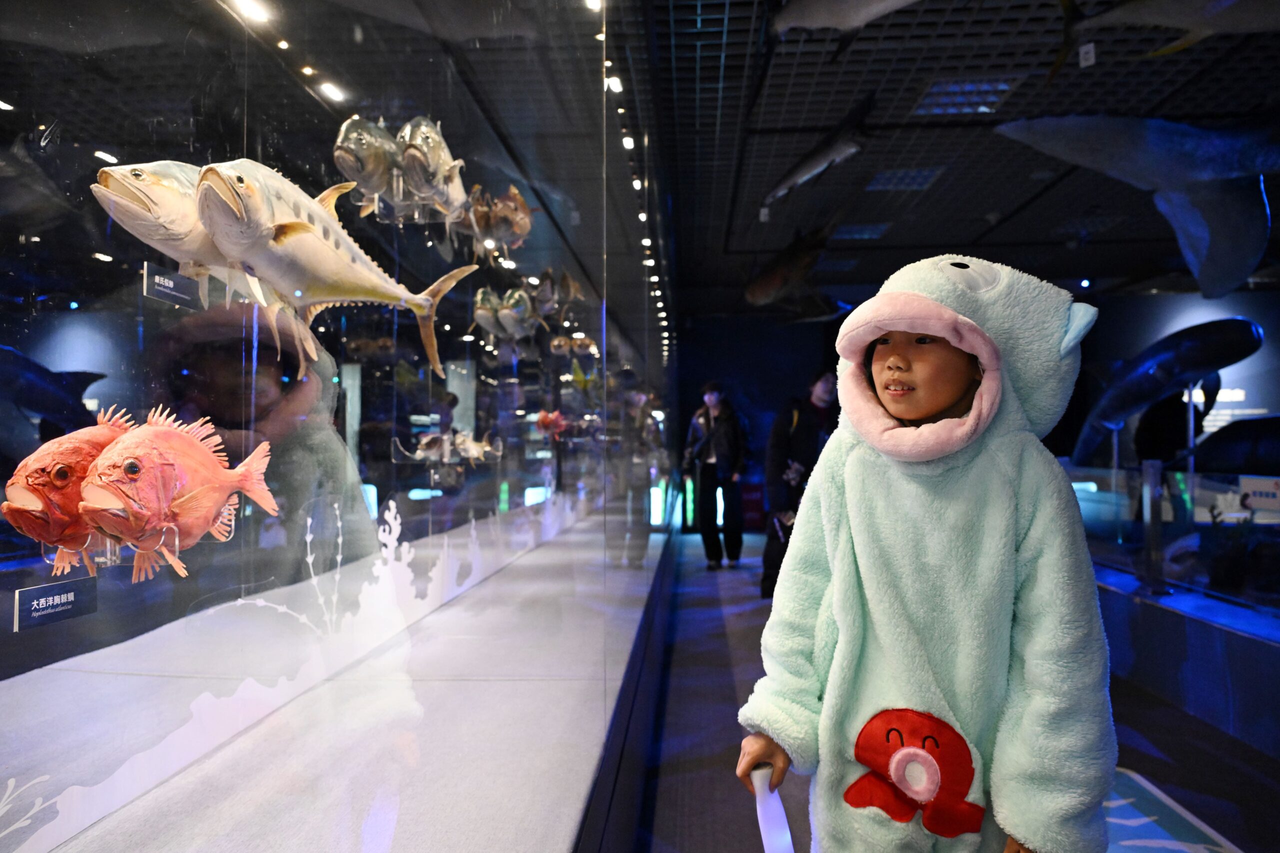 late-night museum openings in China