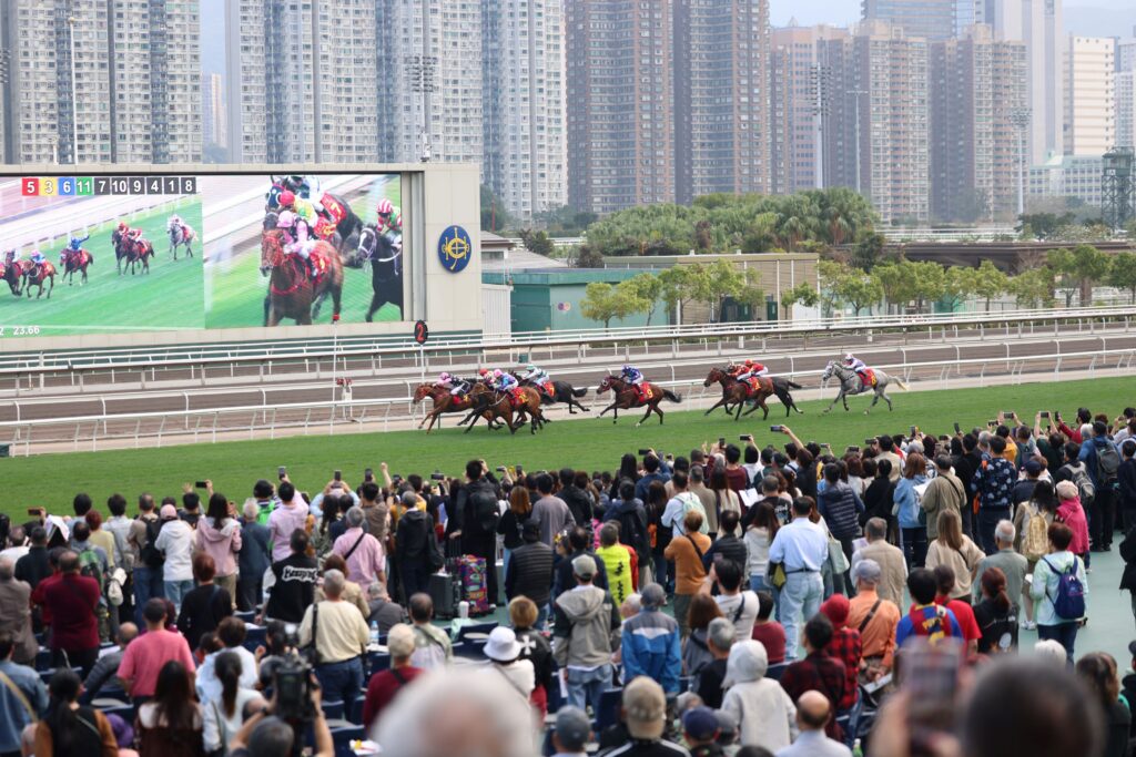 Year of the Horse Raceday