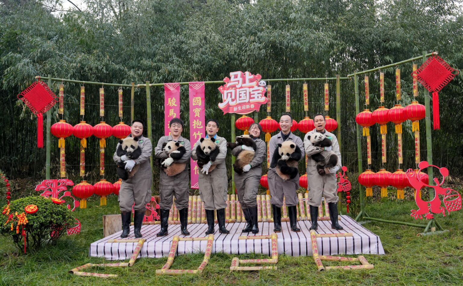 Meet 30 Adorable Newborn Pandas Ringing in the Lunar New Year - CHINA ...
