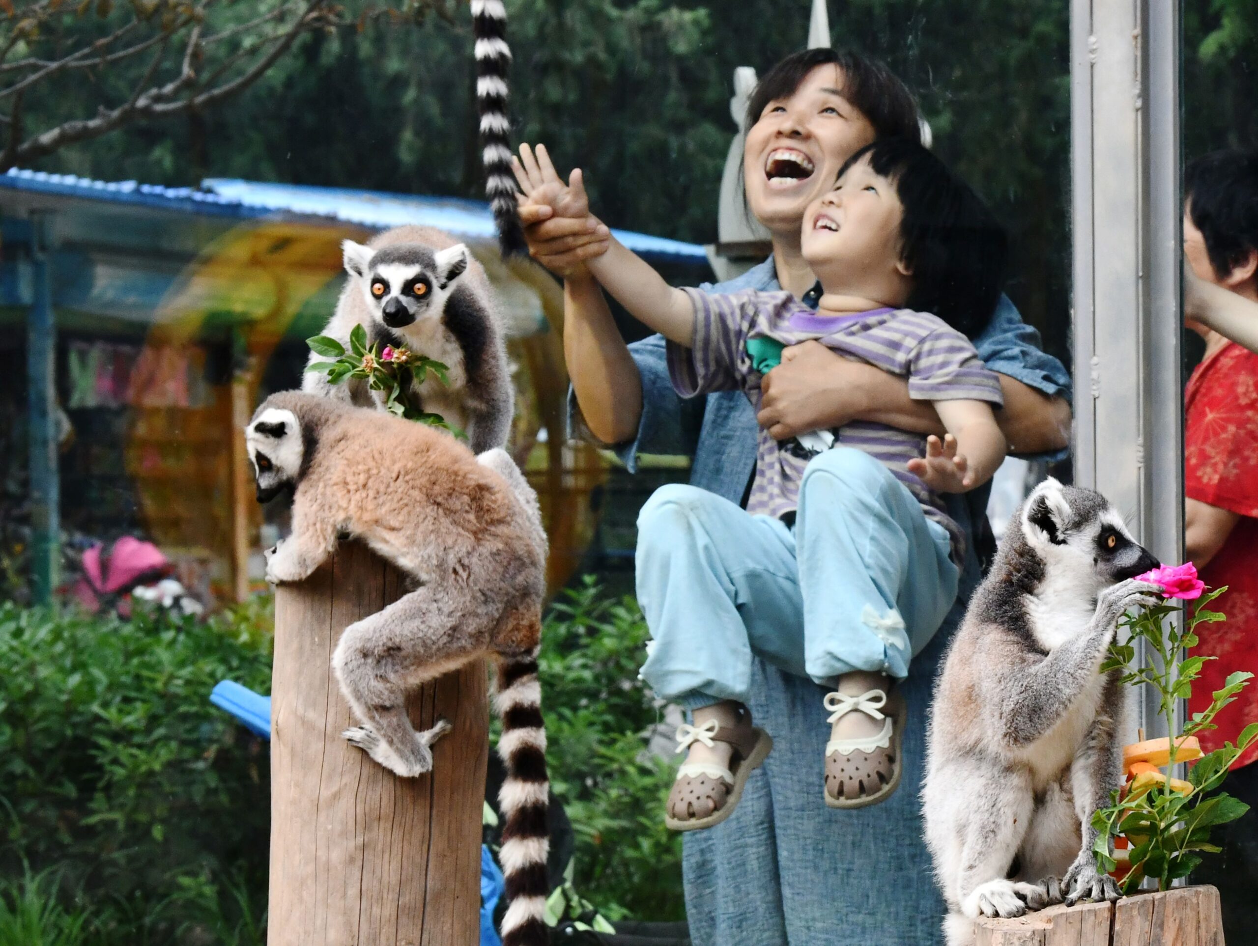 one-meter perspective