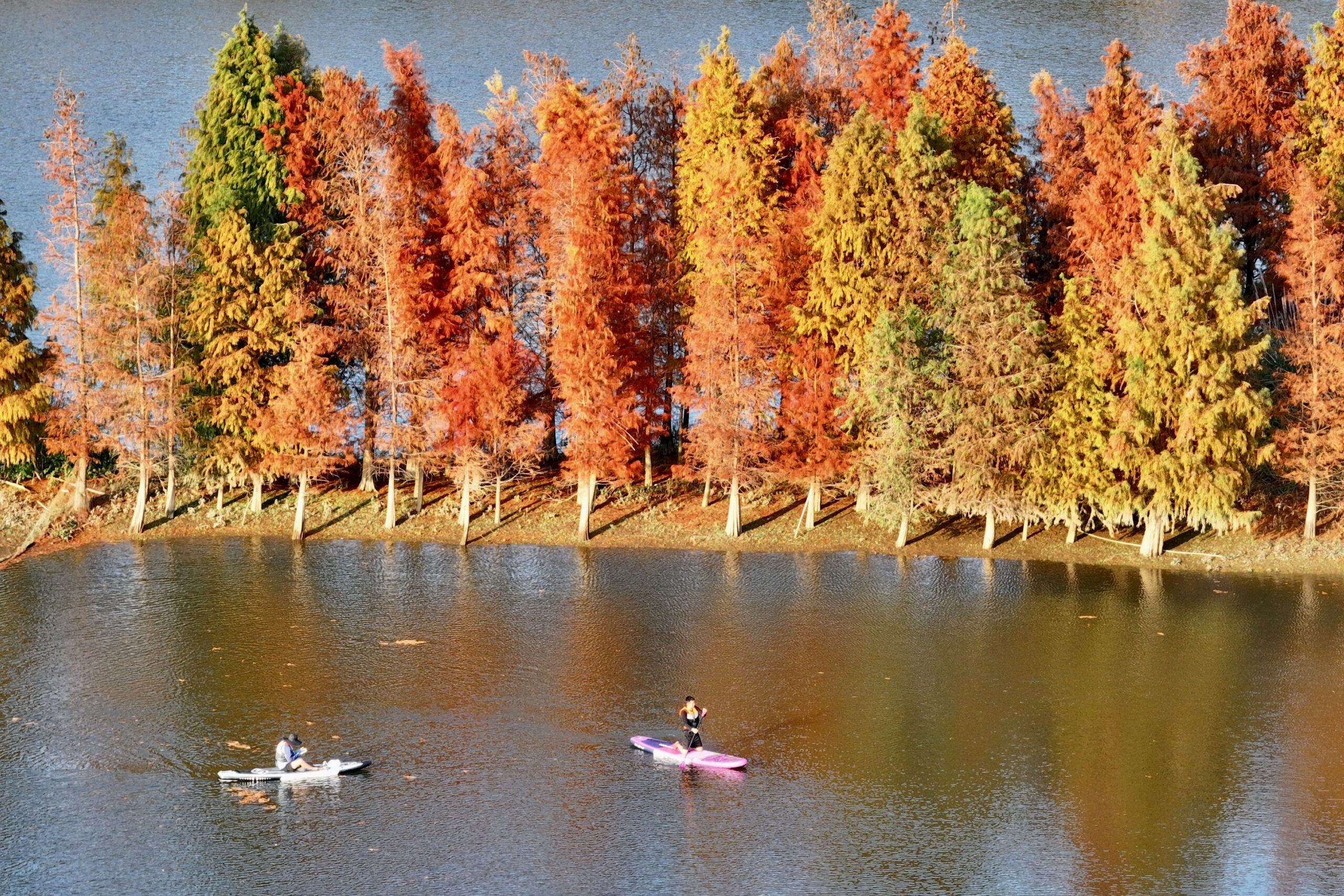 China Two Sessions draft laws