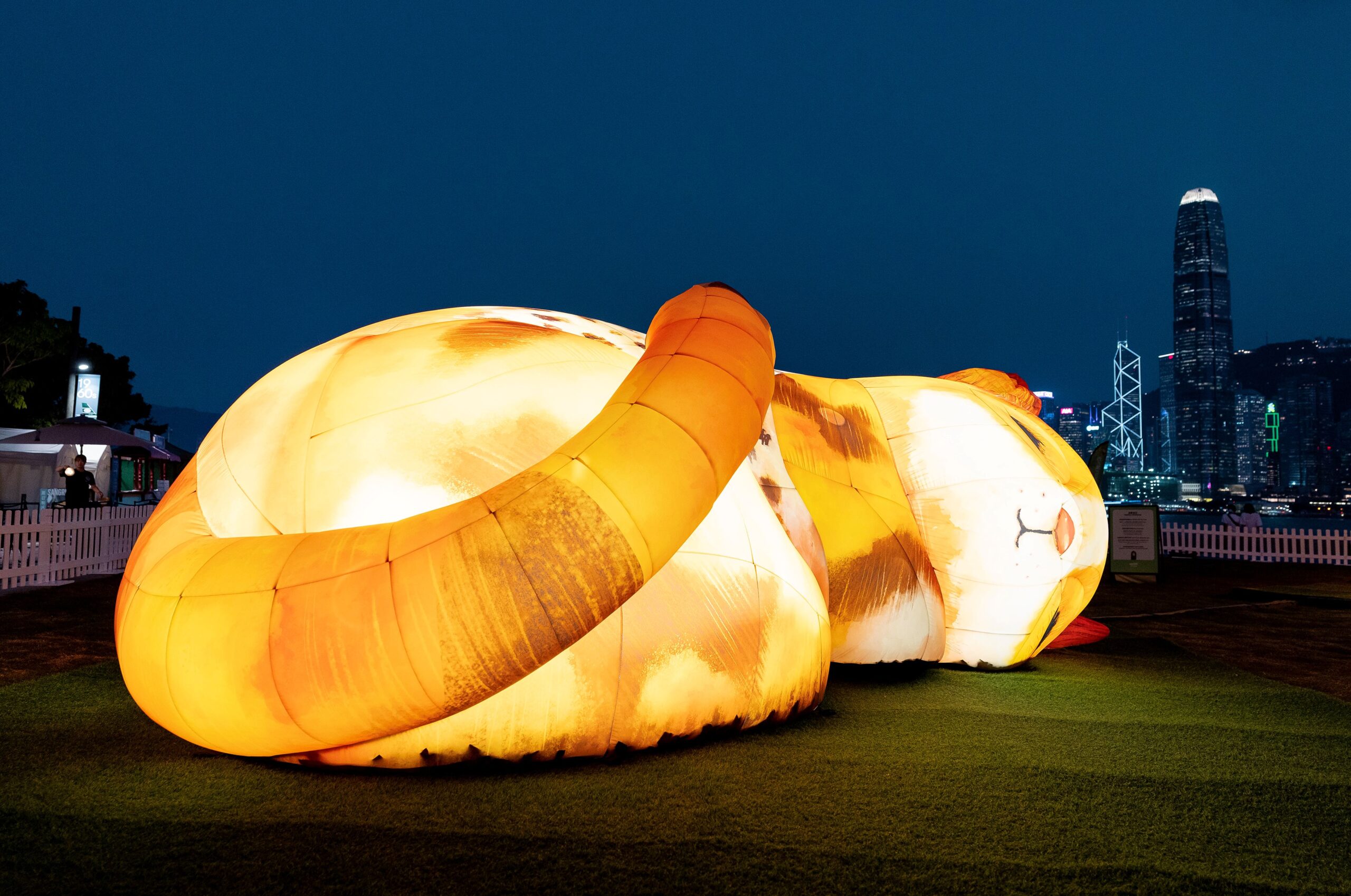 UK cat installation Hong Kong