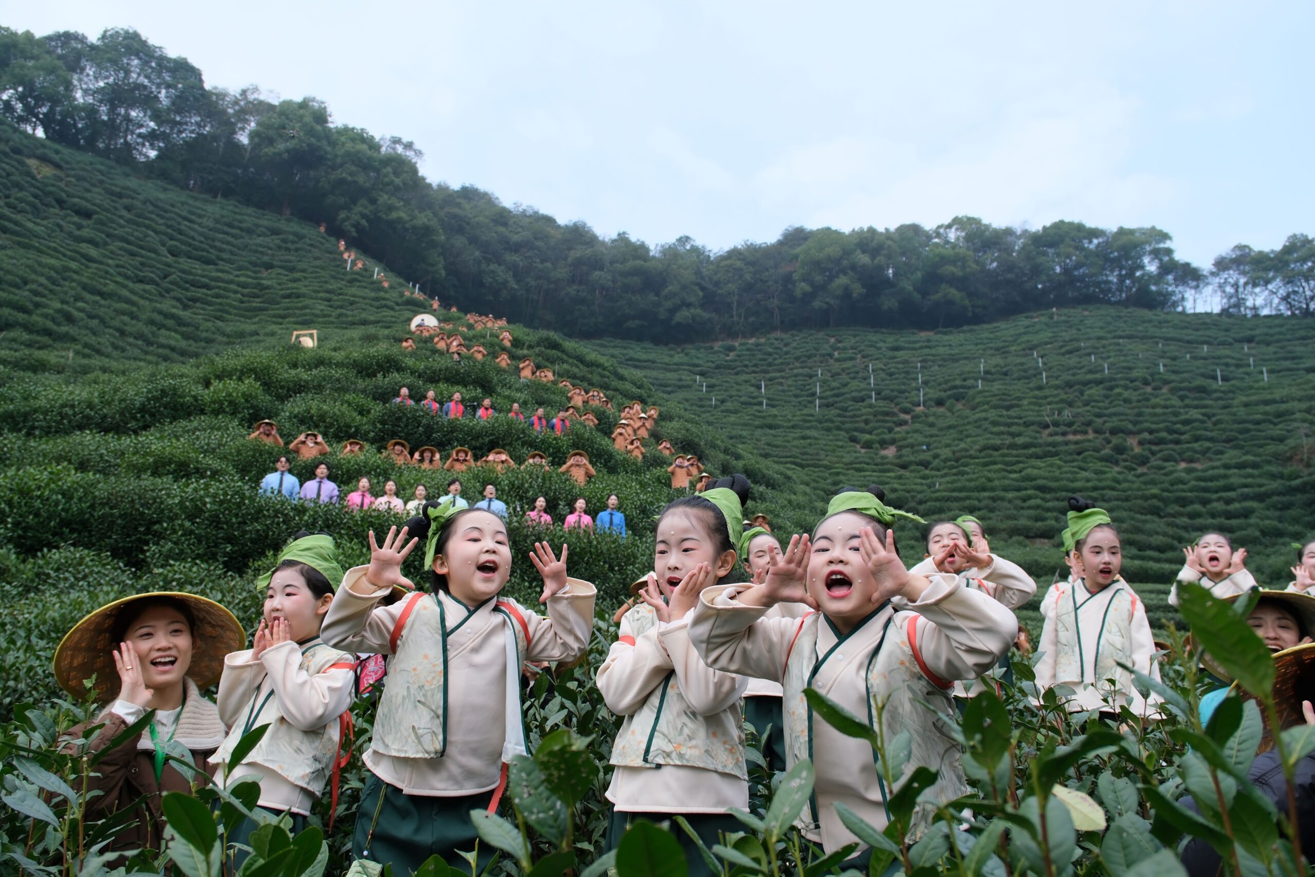 West Lake Longjing tea ritual