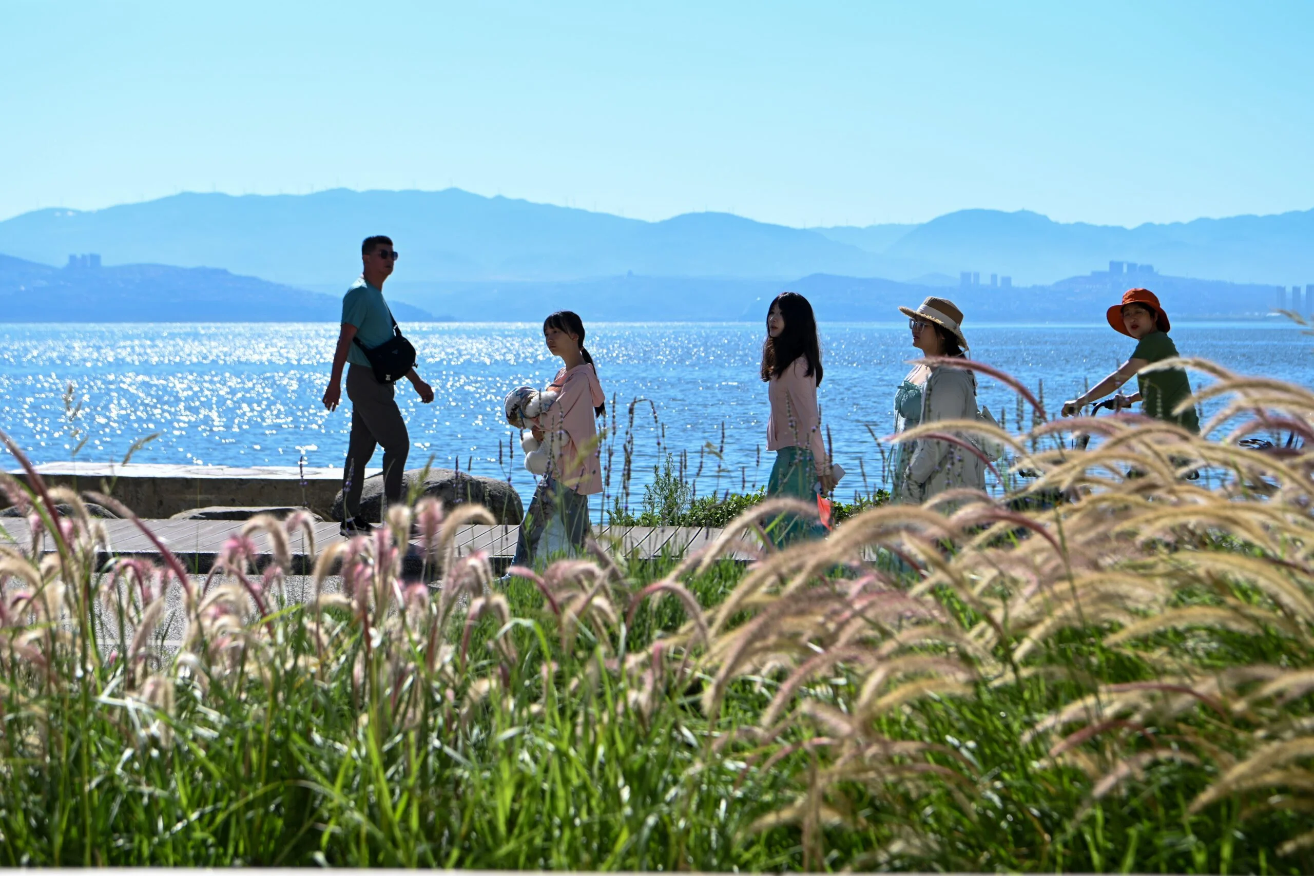 Erhai Lake restoration