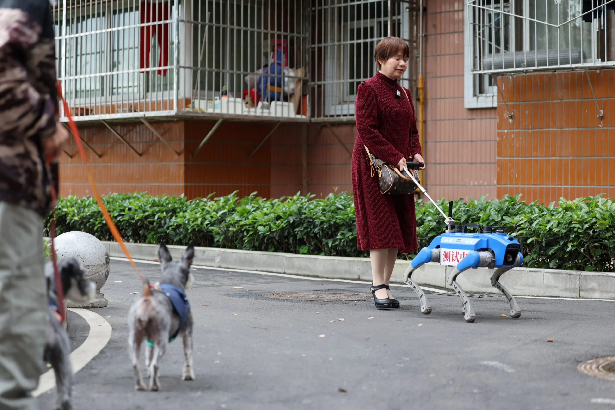 robot guide dogs